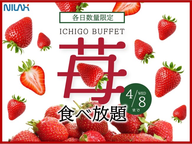 【 各日数量限定 至福の国産いちご食べ放題!!】4/8迄！大好評企画が再び登場！『ニラックスブッフェ』にて、時間無制限で「国産いちご」の食べ放題が満喫できる特別コースがスタート！
