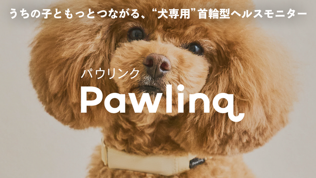 Catlog(R)を展開するRABO、うちの子ともっとつながる、”犬専用”首輪型ヘルスモニター『Pawlinq(TM)（パウリンク）』を2月24日より販売開始