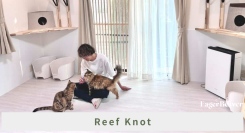 譲渡希望より保護依頼が多い現実——京都・亀岡のReef Knot、2150冊の絵本寄贈と教育活動で“蛇口を閉める”挑戦