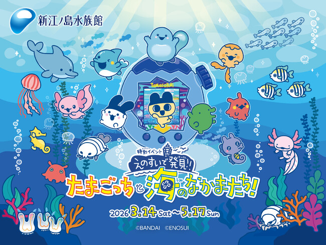 “えのすい”に まめっちたちがやってくる!　特別イベント『えのすいで発見!!たまごっちと海のなかまたち!』開催