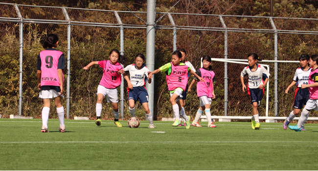 総合通販のdinosが女子サッカーの普及拡大を応援！「東京都少女サッカー大会ディノスカップ」を協賛
