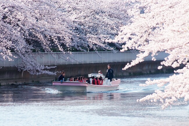【東京ベイ潮見プリンスホテル】桜と潮風を愉しむ“桜づくし体験”　桜クルーズ＆人力車で潮見ならではのお花見を