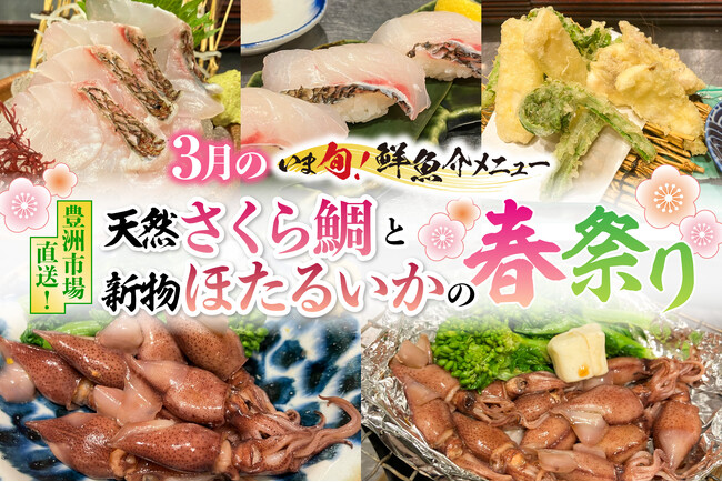 2026年3月限定“いま旬!”天然さくら鯛と新物ほたるいかの春祭り