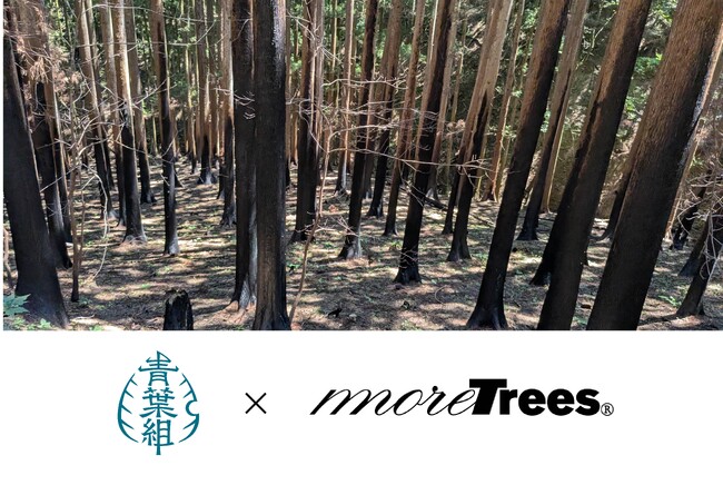 【大船渡・林野火災から1年】青葉組とmore treesが岩手県大船渡市の林野火災跡地再生で連携