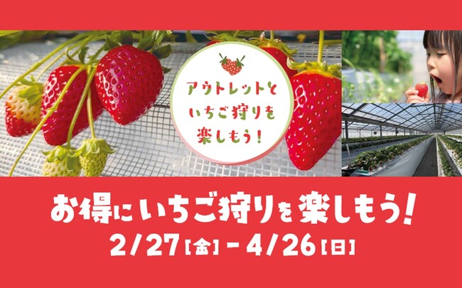 【酒々井アウトレット】千葉県山武市のいちご農園と連携　ショッピングといちご狩りを楽しむキャンペーン開催