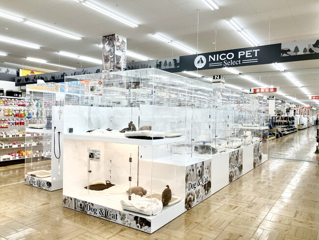 P’s-first長久手店オープンのお知らせ
