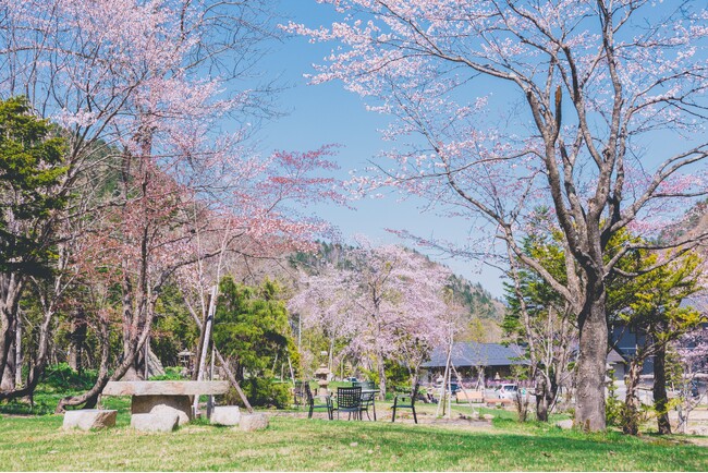 春の北海道 温泉旅　定山渓温泉＆旭岳温泉ハマノホテルズ3館合同「春旅ハマPポイント2倍キャンペーン」