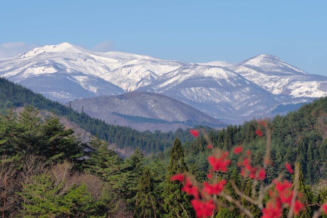 「祈り」が山を育てる、日本初・里山型樹木葬の新たな仕組み