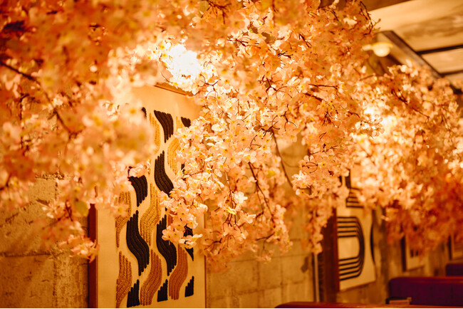 店内に満開の桜！イタリアンバル『CONA』にて『お花見バル-2026-』を開催。あまおう苺の升プリンや桜スパークリングなど、天候を気にせず『苺と桜』を堪能する新作5品が登場！