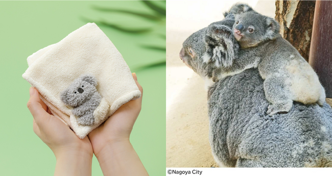 【名古屋市・東山動植物園監修】まるでオムツ？赤ちゃんコアラの“期間限定の白いおしり”を再現したハンカチ＆トートがYOU+MORE!［ユーモア］から誕生。