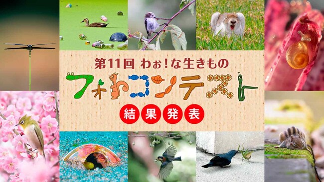「第１１回わぉ！な生きものフォトコンテスト」グランプリ発表