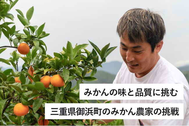 みかんの味と品質に挑む！三重県御浜町「ゼロイチふぁ～む」みかんの木のオーナー制度の支援プロジェクトをCAMPFIREでスタート