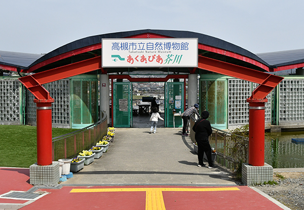 春休みに自然と触れ合おう 高槻市の自然博物館でフェスタ開催