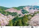 nrh_26spr_B0_hitome