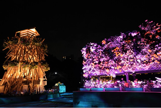 【東京・木場公園】咲き誇る桜と光り輝く立体花壇。高さ3.5m「角材の常夜灯」が誘う早春の花のイルミネーション。地域の園児も花植えに参加、日中も夜も美しい「光と花の17日間」が開始！