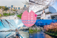皇居千鳥ヶ淵 夜桜ライトアップ2026開催決定！
春の千代田を楽しむ「千代田のさくらまつり」は3/5～4/22