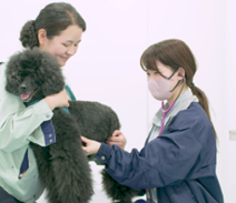 【残り6日】「人と動物が共生するまち」を目指して、愛知県豊橋市が実施中のクラウドファンディングへの温かいご支援をお願いします！！