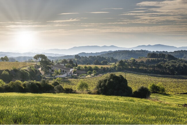 最高位カテゴリー「パラヘ・カリフィカード」評価を実施。単一畑の最高位カテゴリーにおける基準および評価プロセスを公開