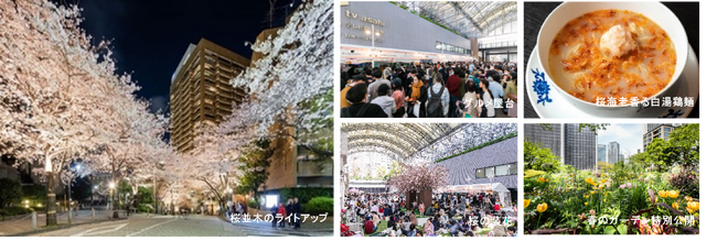 毎年大人気のグルメ屋台や、世界的フラワーアーティストによる桜の装飾が登場「アークヒルズ さくらまつり 2026」開催