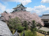 歴史・自然・絶景を楽しむ、和歌山市の春　桜名所5選を一挙紹介！和歌山城では桜の時期にあわせて“桜バージョン”のライトアップを実施！