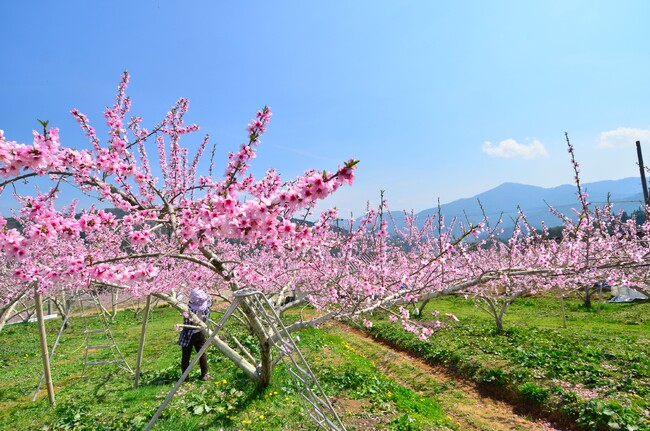 【飛騨高山・岐阜県高山市】「南高山・観光まちづくりフォーラム」を開催