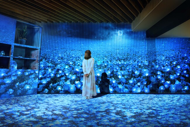 【BEB5土浦×国営ひたち海浜公園】茨城の青い絶景「ネモフィラ」をホテル内でも楽しめる「ネモフィラブルーミング」開催