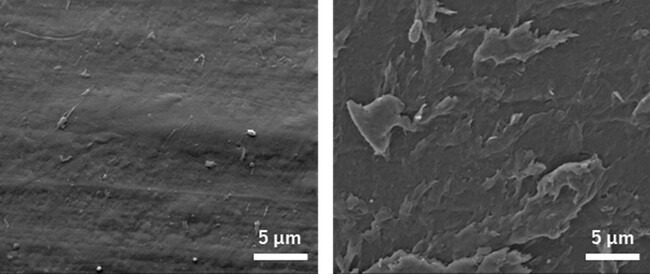 プラスチック添加剤P-Lifeを添加したプラスチックの海洋性分解菌を複数発見！！