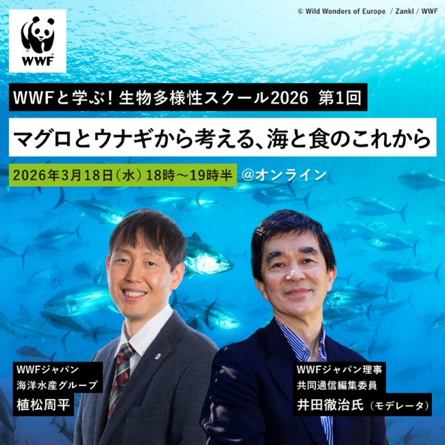 WWFと学ぶ！生物多様性スクール2026 第1回 「マグロとウナギから考える、海と食のこれから」