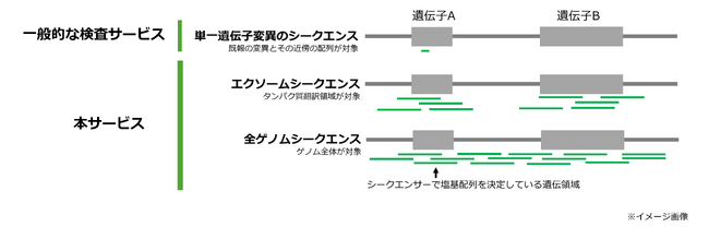 どうぶつの網羅的遺伝子検査サービス「NGS検査サービス」の提供を開始