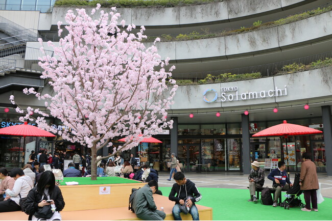東京スカイツリータウン(R)の春イベント　地元の人気店が集まるカフェイベントも！