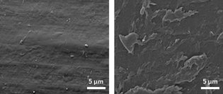 プラスチック添加剤P-Lifeを添加したプラスチックの海洋性分解菌を複数発見
