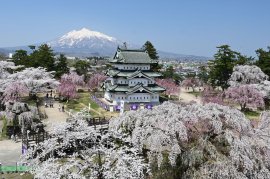 弘前さくらまつり