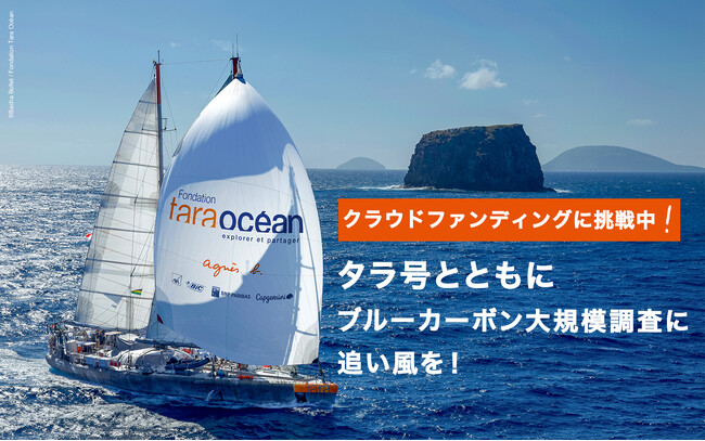 8年ぶり来日・科学探査船タラ号を機に日本沿岸ブルーカーボン大規模調査継続へ