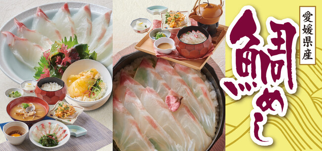 【かごの屋】期間限定！愛媛県産「鯛」を味わい尽くす『春のごちそう』フェア開催！名物「宇和島風鯛めし」や贅沢な「鯛づくし御膳」など、こだわりの仕立てで登場