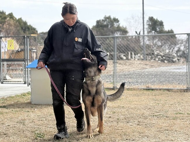 東日本大震災をきっかけに、災害救助犬ハンドラーの道へ 　　　　　ー初の訓練犬「侑」と歩む新たな挑戦ー