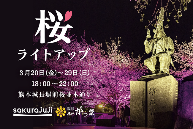 桜十字グループ特別協賛 「熊本城・桜ライトアップ」春の夜空を満たすウェルビーイングな10日間