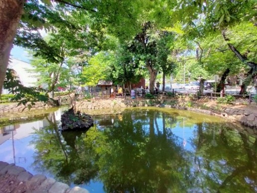 【横浜市】水の循環がよみがえる池へ！地域の力で歴史ある「いの池」を再生