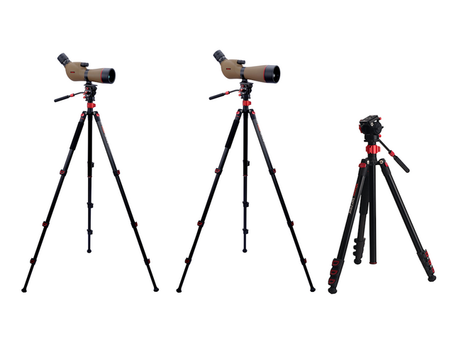 野鳥観察をさらに快適にフィールドスコープ「ジオマIII ED65 ZOOM M-174三脚セット」「ジオマIII ED80 ZOOM M-174三脚セット」を3月18日（水）に発売