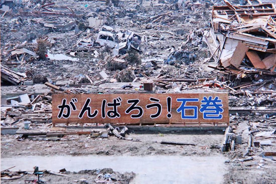 震災から15年。石巻「ど根性ひまわり」子孫15世の種を無料配布。未来へつなぐ命のバトン。