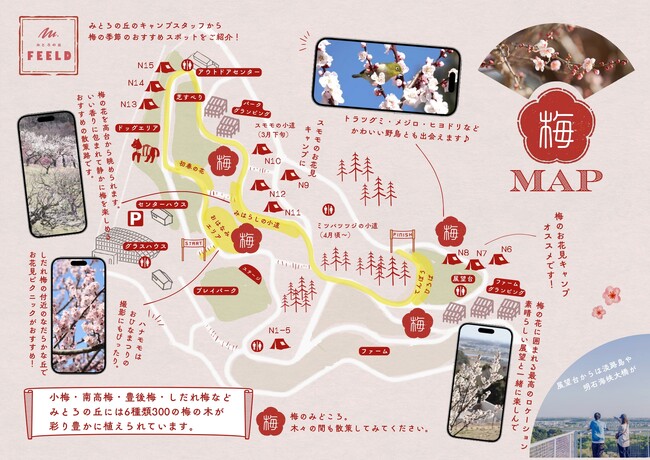 【加古川・春の便り】みとろの丘で梅が見頃に。園内を楽しむ「梅MAP」を公開中