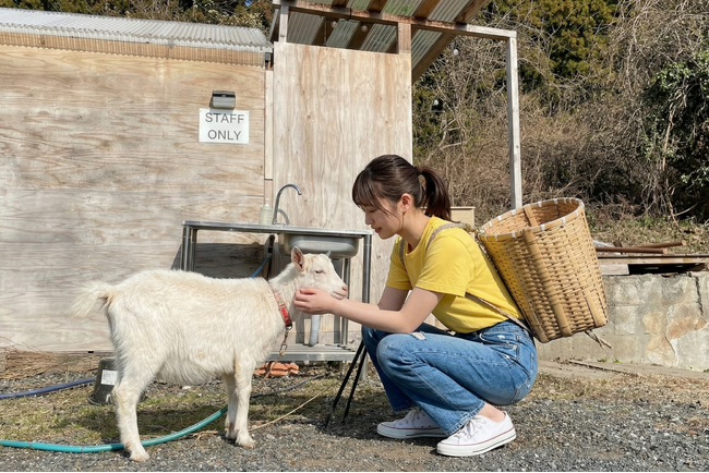 『学生限定プラン』がもたらした2月89%、3月9８%の稼働率。「便利さ」や「煌びやかさ」」よりも15匹の猫と里山の「地味」を今の若者が選ぶ理由、千葉の古民家グランピング和心村