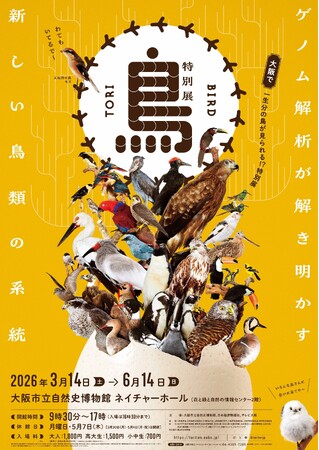 ことりすまいる、特別展「鳥」公式トリバサダーに就任！