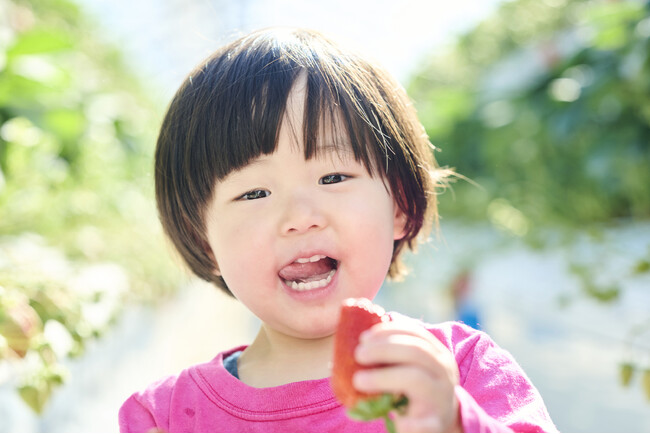 【2026年春休みお出かけ調査】テーマパーク・動物園・果物狩りが人気！お花見は「近所で気軽に」派が多数／いこーよ総研ユーザーアンケート