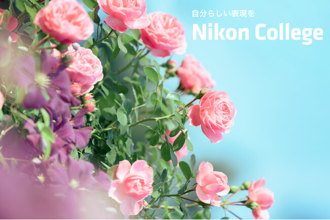 写真教室「ニコン カレッジ」 2026年4月~6月期の講座を公開