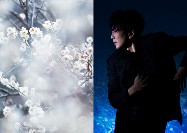 蜷川実花 with EiMが手がける「KYOTO NIPPON FESTIVAL」DAZZLEと送るイマーシブ公演「花宵の大茶会」３月20日開幕