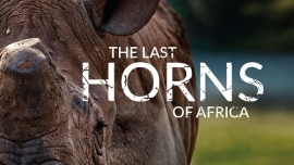 ドキュメンタリー映画『ザ・ラスト・ホーンズ・オブ・アフリカ』が、3月15日（日）13時、サイエントロジー・ネットワークにて放送