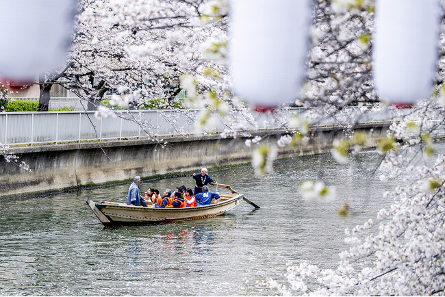 水辺の桜に大接近　【取材用の臨時便運行】　第22回 お江戸深川さくらまつり　和船、動力船、カヌーで味わう江戸風情 3月20日(金・祝)より「水上花見」開催