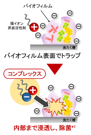 洗たく槽のバイオフィルム内の菌も除菌*1　衣類への菌移行を抑制する、衣料用洗剤の新技術を開発
