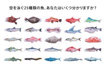 創業79年の鯉のぼりメーカーが空間演出へ立体ディスプレイ「のぼり水族館」に新たに20種類を追加