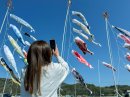 お魚のぼりをおもわず写真撮影